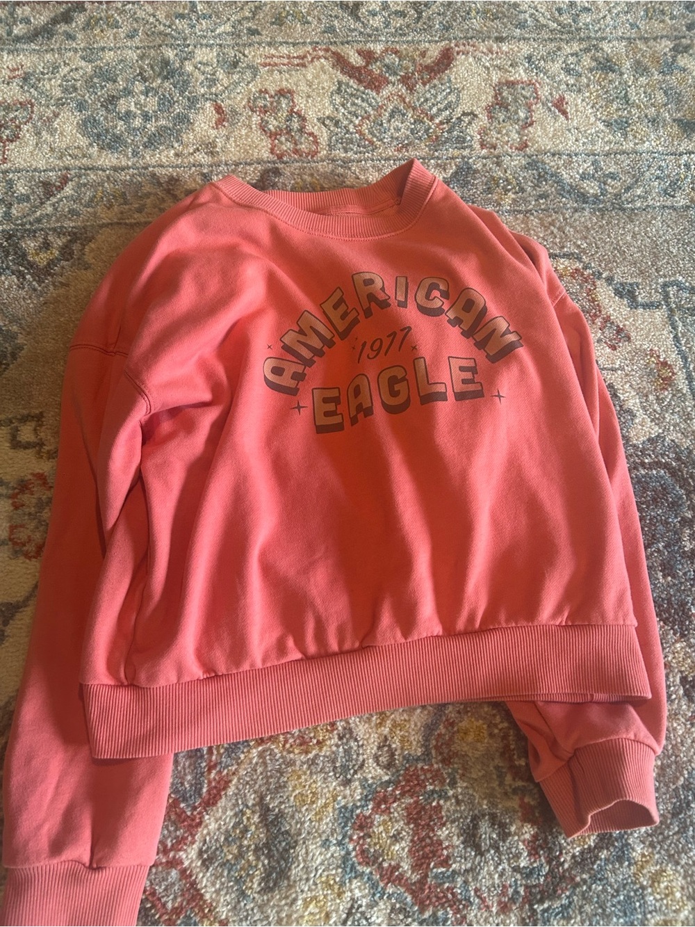 American Eagle Outfitters Coral-Pink Crewneck Pullover